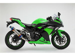 Ninja250F2013`2017(JBK-EX250L) }t[ BEAMS r[X R-EVO q[g`^ XbvI D415-53-P1S