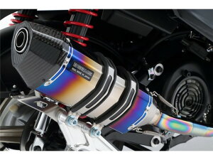 VOiXX(EBJ-SE44J) }t[ BEAMS r[X CORSA-EVO II q[g`^ tGL][Xg G220-65-001