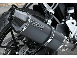 GSX-R125(8BJ-DL32D) }t[ BEAMS r[X CORSA-EVO II }bgubN tGL][Xg G346-63-S7J