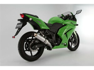 Ninja250RF2008`2012(JBK-EX250K) }t[ BEAMS r[X R-EVO XeX tGL][Xg G409-53-S6J