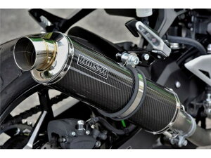 Ninja250 / Z250F2018`(2BK-EX250P(8BK-EX250Y) }t[ BEAMS r[X R-EVO J[{ XbvI G430-53-P2J