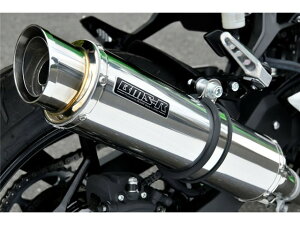 Ninja250 / Z250F2018`(2BK-EX250P(8BK-EX250Y) }t[ BEAMS r[X R-EVO2 XeX XbvI G430-54-P3J