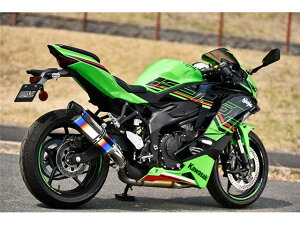 yX[p[Z[N[|szZX-25R(8BK-ZX250H) }t[ BEAMS r[X CORSA-EVO II q[g`^ XbvI G436-65-P6J