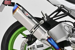 BEET �r�[�g NASSERT Evolution TypeII �t���G�L�]�[�X�g�}�t���[ �N���A�`�^�� KAWASAKI �J���T�L Ninja ZX-6R(8BL-ZX636J)(24-) 0223-KI3-50