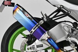 BEET �r�[�g NASSERT Evolution TypeII �t���G�L�]�[�X�g�}�t���[ �u���[�`�^�� KAWASAKI �J���T�L Ninja ZX-6R(8BL-ZX636J)(24-) 0223-KI3-BL