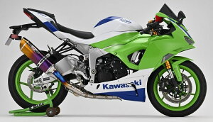 BEET �r�[�g NASSERT Evolution TypeII �t���G�L�]�[�X�g�}�t���[ �p�[�v���S�[���h KAWASAKI �J���T�L Ninja ZX-6R(8BL-ZX636J)(24-) 0223-KI3-PG