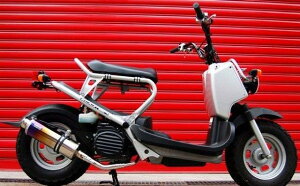 BEAMS r[X }t[ tGL][Xg SS300`^ Y[}[(Lu)AF58 B109-09-000