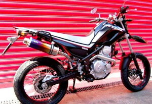 BEAMS r[X }t[ tGL][Xg SS300`^ Abv^Cv S/O XT250X ~2007 B215-09-004