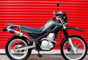 BEAMS r[X }t[ tGL][Xg SS300`^ Abv^Cv S/O SEROW250 ~2007 B216-09-004