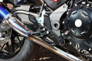 yX[p[Z[N[|szSTRIKER XgCJ[ X|[cc[ORZvghSTChXebvLbg KAWASAKI Z650RS SS-ST2164B