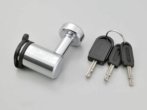 DAYTONA fCgi XgK[fBXNbN 31255