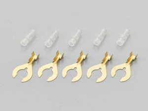 DAYTONA fCgi N^[qX[u (nhc[ߗp)8 8 69063