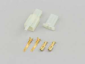 DAYTONA fCgi RlN^[110^ (Zbg) 2 96167