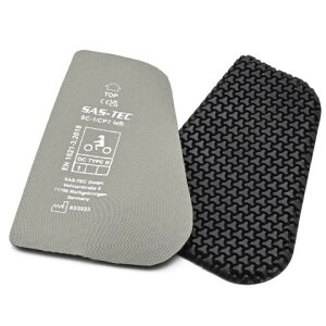 DAYTONA fCgi SAS-TEC veN^[ 32506