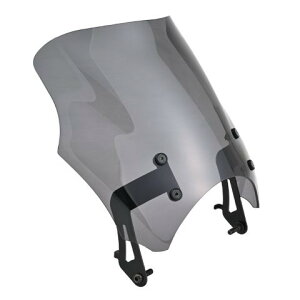 ݌ɗL  fCgi Daytona CB1000F(26)p XN[ uXgoA[ X[N 62722