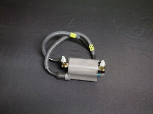 �[�t�@�[400�� �C�O�j�b�V�����R�C��(2�E3) �h���~�R���N�V���� 17607