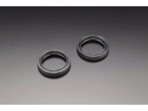 yX[p[Z[N[|sz[t@[750p tgtH[NICV[ h~RNV 20102