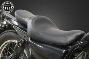 Garage TF K[WeB[AhGt 250TR X[XV[g (Face-3) 506031