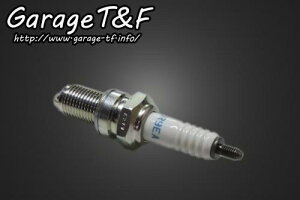 Garage T&F �K���[�W �e�B�[�A���h�G�t 250TR NGK�X�p�[�N�v���O(DR9EA) 250TRSP01
