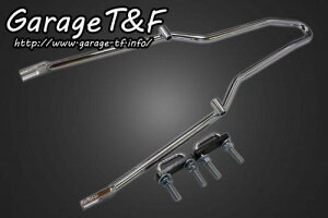 Garage T&F K[W eB[AhGt hbOX^[250 V[V[o[(V[g)bL DS250CB01