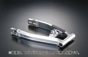 GNtg XR50/100^[hXCOA[T/SNX6cmO 90193