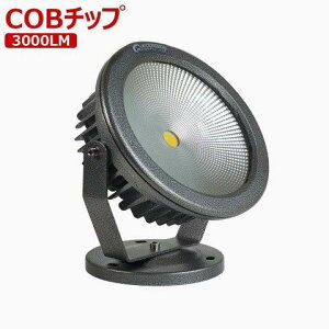 ObhObY (goodgoods) LED dF 30W 3000LM  COB^Cv Lp h Ɩ CO30-DQ
