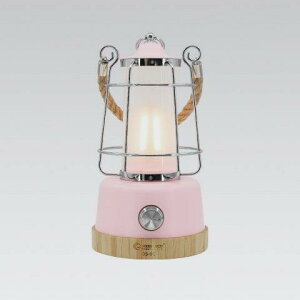 �O�b�h�O�b�Y (goodgoods) LED�����^�� �[�d�� LED�L�����v �����^�� ���s���N LED /�h���Ή� DS-8E-SPK
