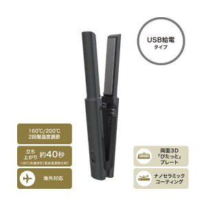 TESCOM �e�X�R�� USB ���o�C�� �w�A�A�C���� ���^���b�N�O���[ TS310A-H