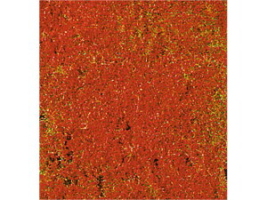 Ki KATO Jg[ NQ[W |PbgEt[   060H1588