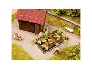 Ki KATO Jg[ HOQ[W NOCH HO ڂ 00113219