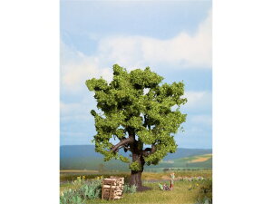 Ki KATO Jg[ NQ[W NOCH JV̖ 00121760