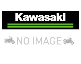 Kawasakiカワサキ 純正オプション パネルアッシ(カーボン調、左右セット) Z650 KTA016B-RBS2-WP1