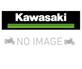 Kawasakiカワサキ 純正オプション パネルアッシ(左右セット) Z650 KTA015B-RBS2-H8(エボニー)
