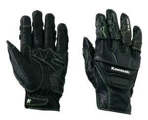 Kawasaki JTL GA[GPSO[u TCYLL ubN J8002-2085