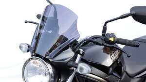 スクリーン メーターバイザー2 SV650・ABS KIJIMA キジマ 305-4721