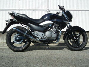 WRfS _uA[Y }t[ EhEJ[{TCT[ XbvI GSR250/GSR250S BC3210JM