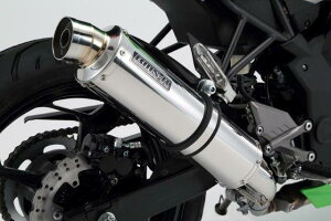 BEAMS r[X R-EVOXeX XbvI {F ԎFKawasaki Ninja250SL 2015` G422-53-P6J