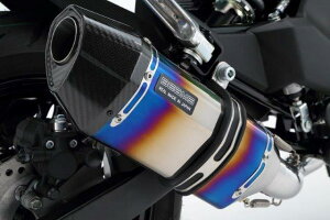 BEAMS r[X CORSA-EVO q[g`^TCT[ {F ԎFKawasaki Z125 PRO G424-65-001