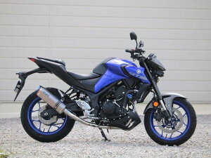 WRfS _uA[Y SS-OVAL \bh^Cv tGL][Xg MT-25 LK2265JM