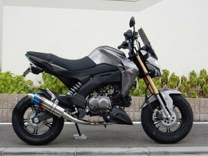 WRfS _uA[Y V[gI[o ĂF^Cv tGL][Xg Z125PRO LS4110JM