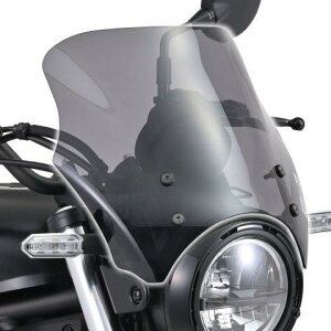 DAYTONA fCgi uXgoA[ XN[ KAWASAKI JTL G~l[^[(24) X[N 42156