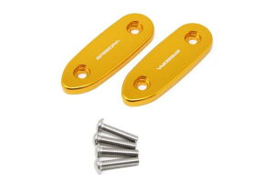 SPEEDRA Xs[h }t[Xe[Lbv AMSCBM01GD BMW S1000RR 2019-