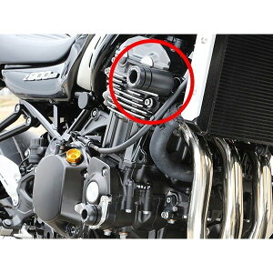 �݌ɗL�� �������� Baby Face �x�r�[�t�F�C�X �t���[���X���C�_�[ ���E�Z�b�g KAWASAKI �J���T�L Z900RS(18) Z900(18) 006-SK029F