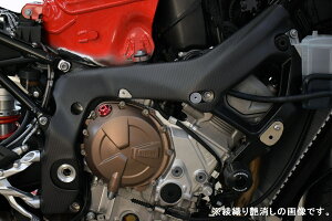�݌ɗL�� �������� SPEEDRA �X�s�[�h�� �t���[���J�o�[ ���E�Z�b�g CBM0615TG BMW S1000RR 2019- ���D�艐����