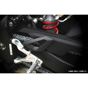 SPEEDRA �X�s�[�h�� �q�[���v���[�g �h���C�J�[�{�� CBM1002TG BMW S1000RR 2019-