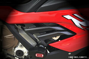 SPEEDRA �X�s�[�h�� �T�C�h�J�o�[ �h���C�J�[�{�� CBM1003TG BMW S1000RR 2019-