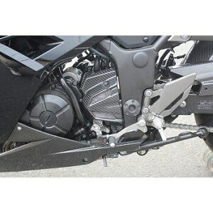 SPEEDRA Xs[h XvPbgJo[ (D艐) CK00103PM KAWASAKI NINJA250 2013-2017KAWASAKI Z250 2013-