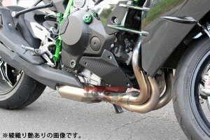 SPEEDRA �X�s�[�h�� �G���W���T�C�h�J�o�[ ���E�Z�b�g CKA0702PG KAWASAKININJA H2 2015-