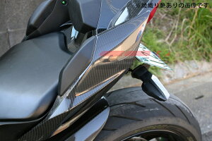 SPEEDRA �X�s�[�h�� �e�[���T�C�h�J�o�[ CKA0711PM KAWASAKININJA H2/H2R