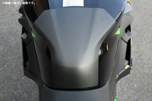 SPEEDRA Xs[h ^Npbh hCJ[{ CKA1201PG KAWASAKI NINJA250 2018-KAWASAKI NINJA400 2018-